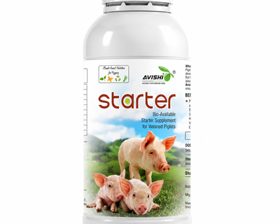 AVISHI STARTER
