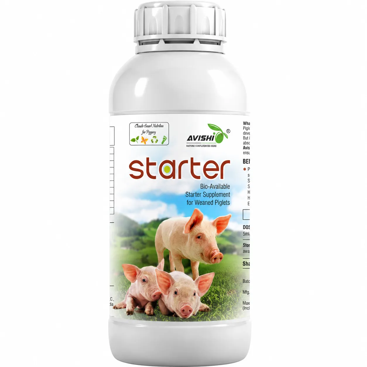 AVISHI STARTER