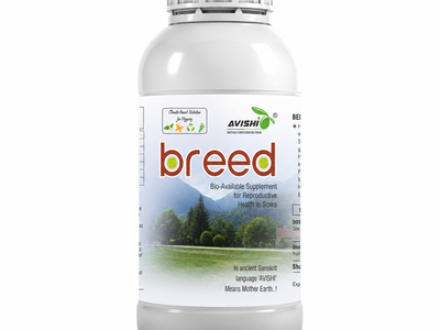 AVISHI BREED