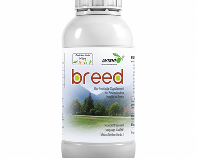 AVISHI BREED