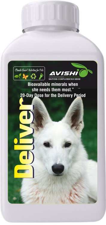 AVISHI DELIVER