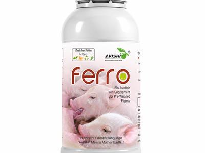 AVISHI FERRO