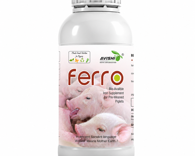 AVISHI FERRO