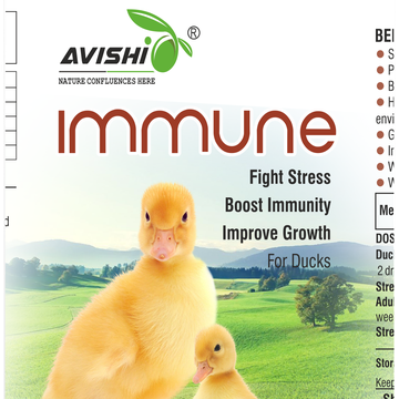 AVISHI IMMUNE