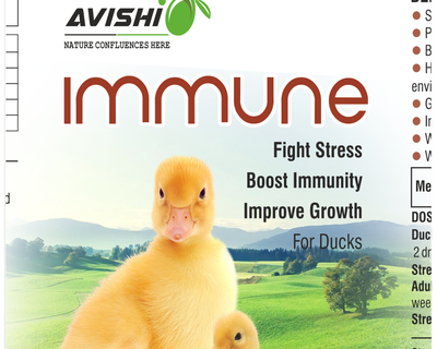 AVISHI IMMUNE