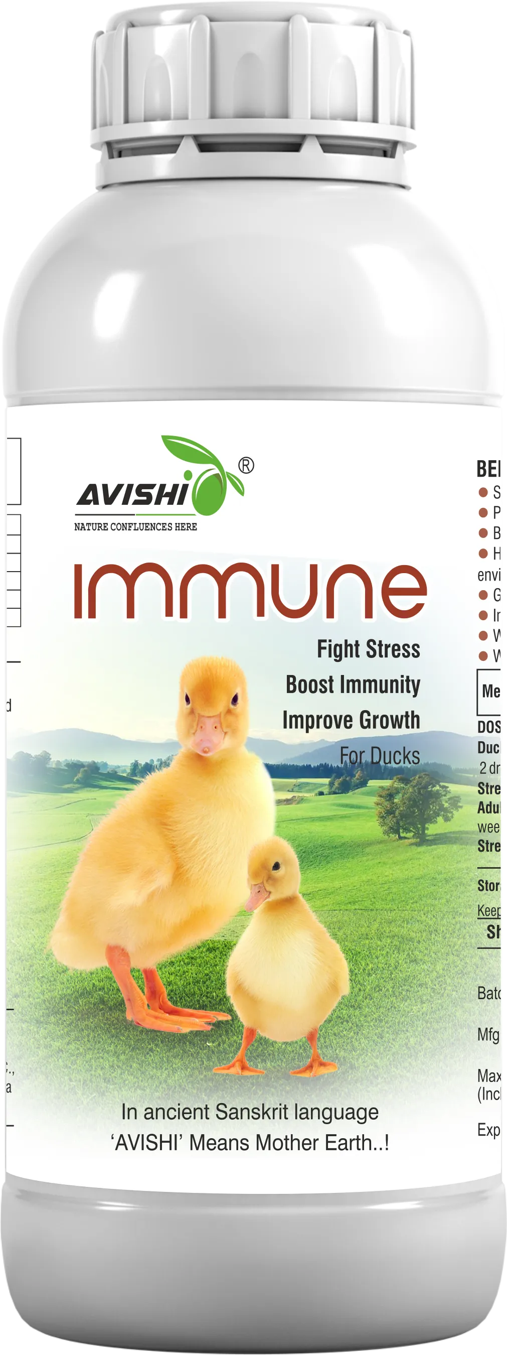 AVISHI IMMUNE