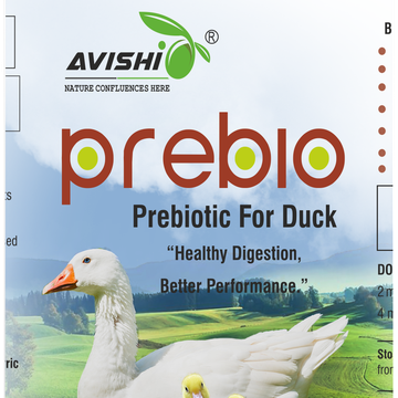 AVISHI PREBIO