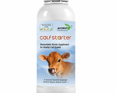 AVISHI CALF STARTER