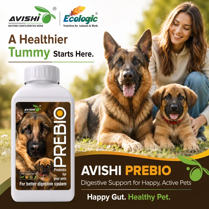 Avishi Prebio (Canine) Clinical Information