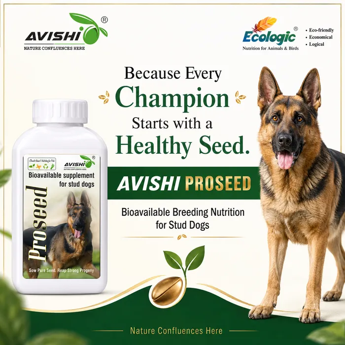 Avishi Proseed (Canine) Clinical Information