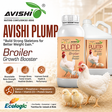 AVISHI PLUMP