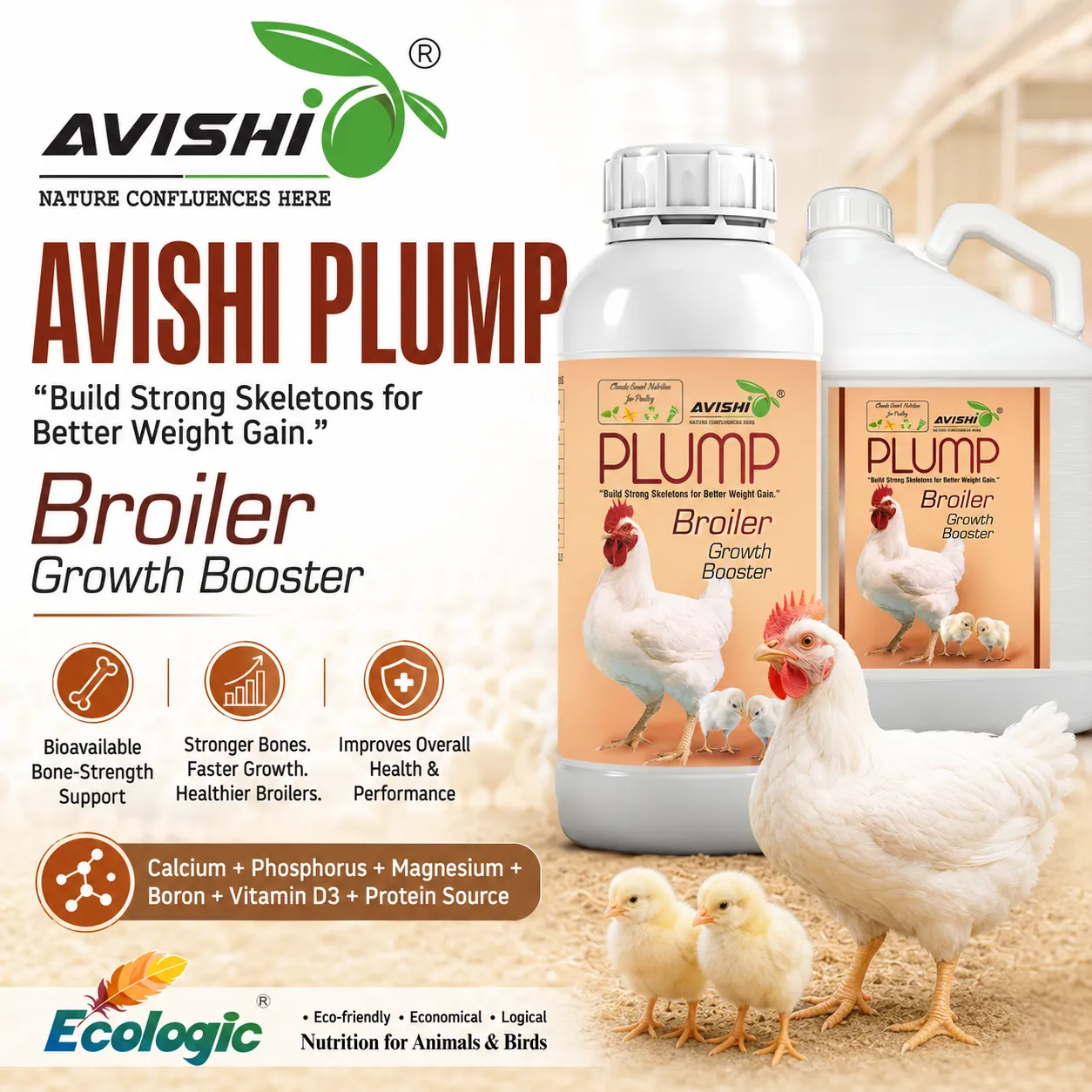 AVISHI PLUMP