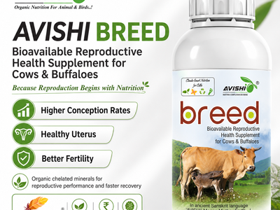 AVISHI BREED