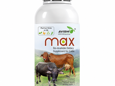 AVISHI MAX