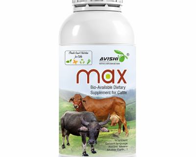 AVISHI MAX