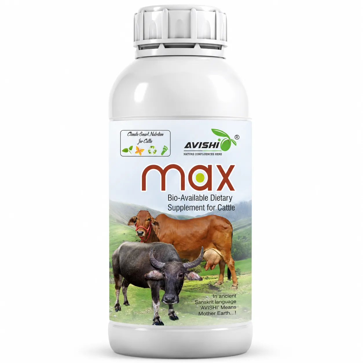 AVISHI MAX