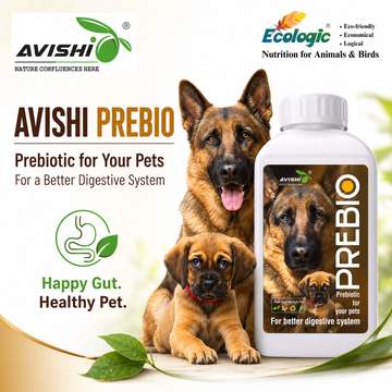 AVISHI PREBIO