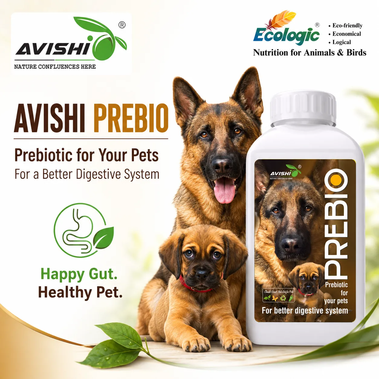 AVISHI PREBIO