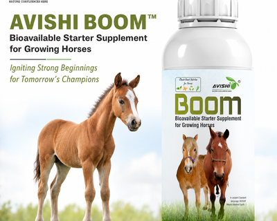 AVISHI BOOM