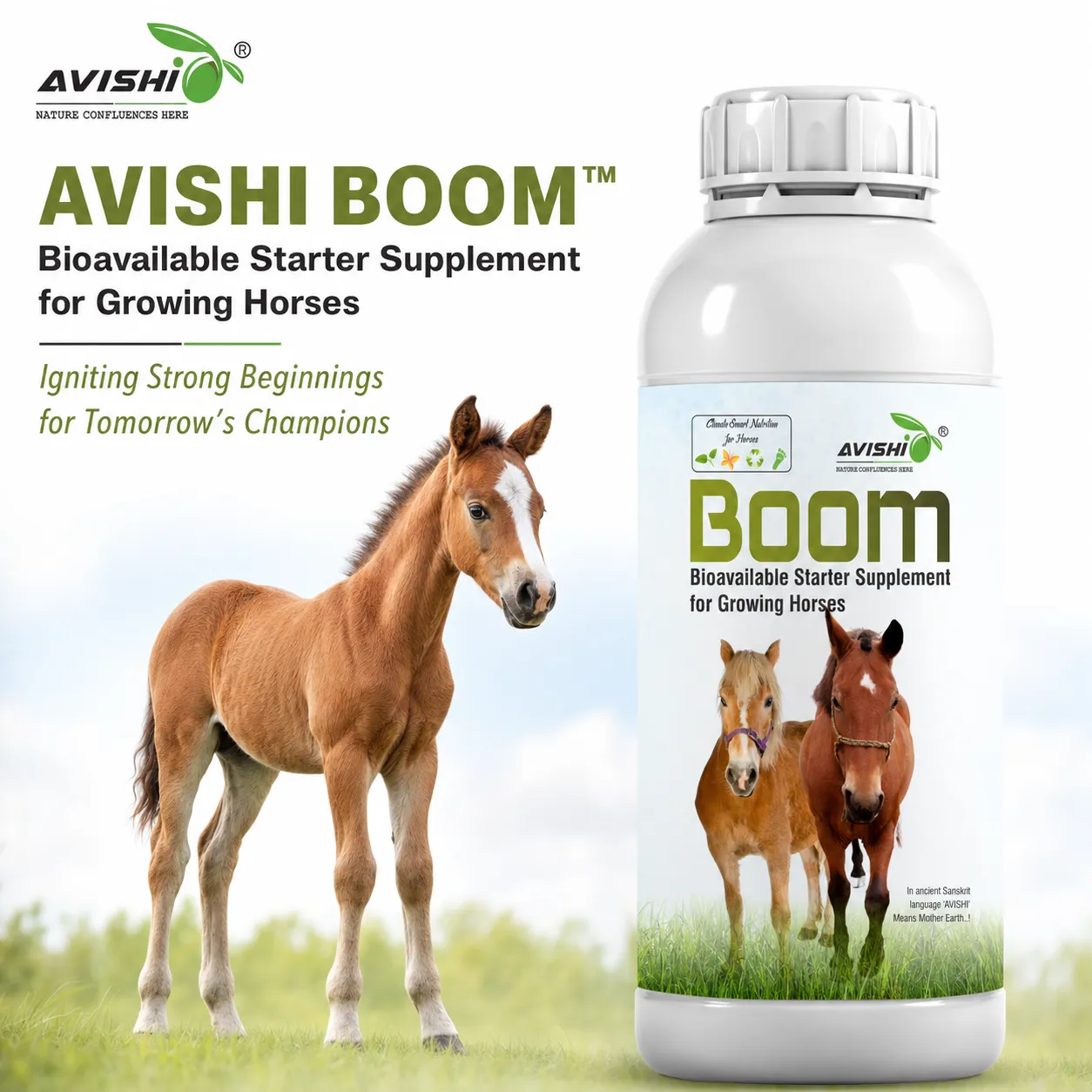 AVISHI BOOM