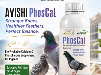 AVISHI PHOSCAL