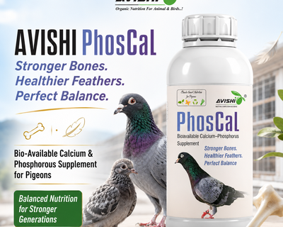 AVISHI PHOSCAL