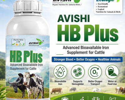 AVISHI HB PLUS