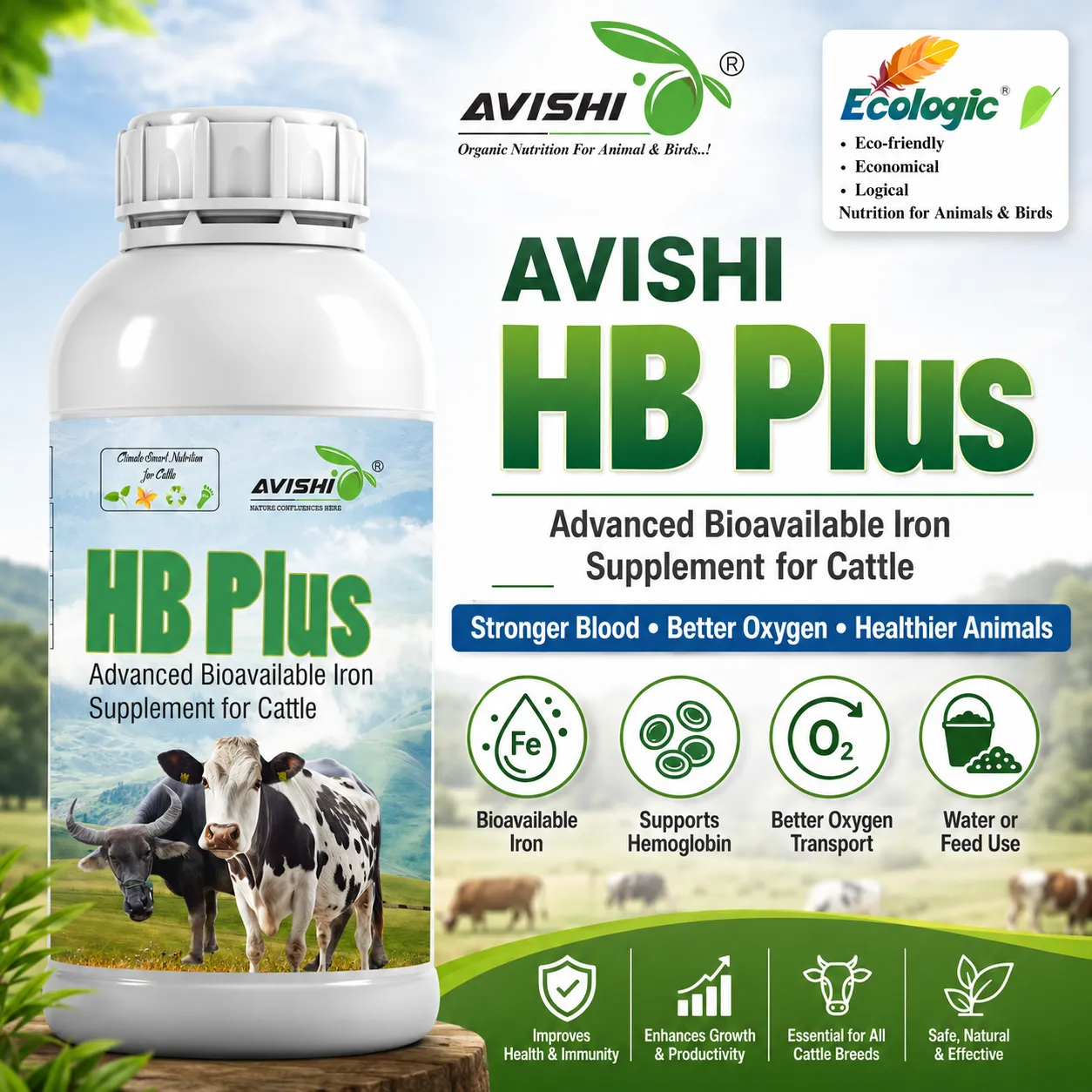 AVISHI HB PLUS