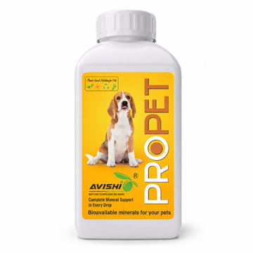AVISHI PROPET