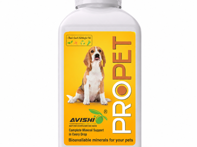 AVISHI PROPET