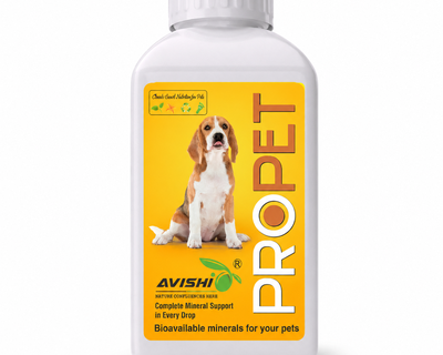 AVISHI PROPET