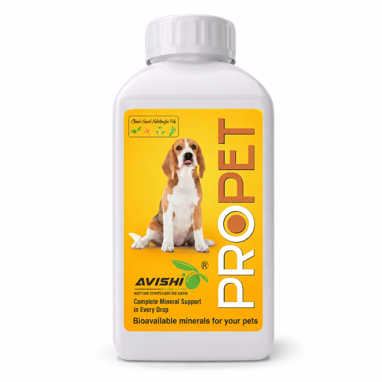 AVISHI PROPET