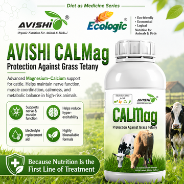 AVISHI CALMAG