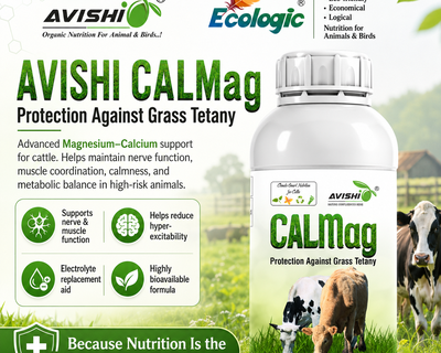 AVISHI CALMAG