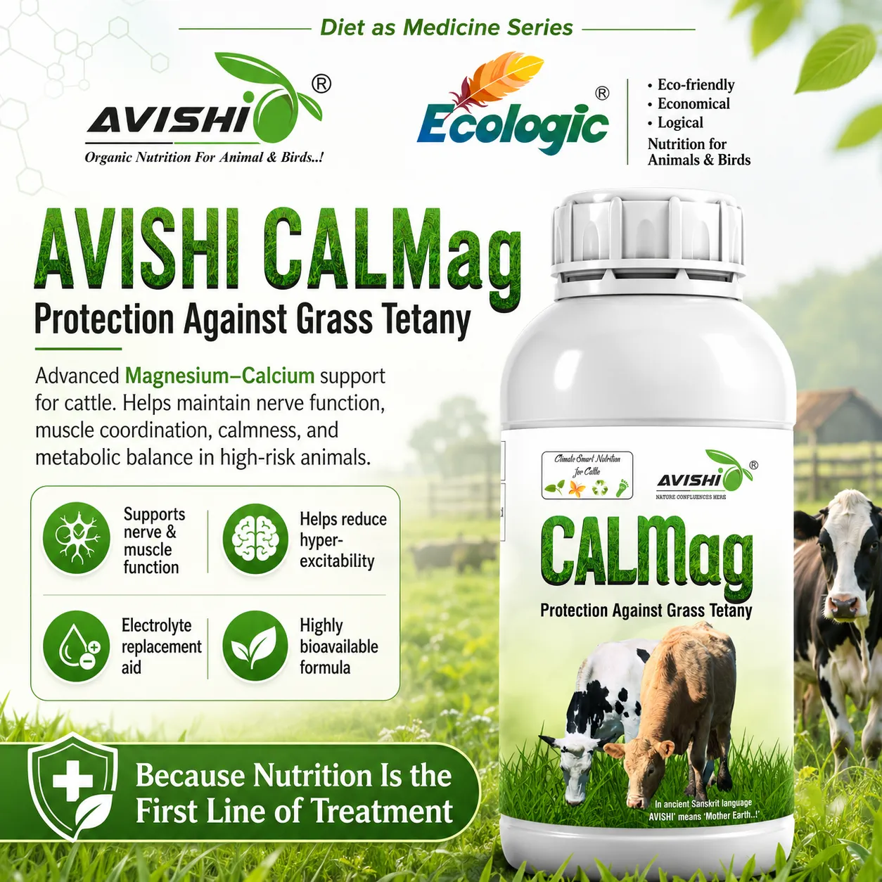 AVISHI CALMAG