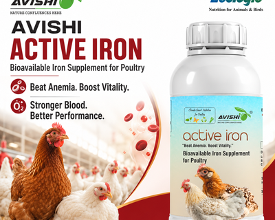 AVISHI ACTIVE IRON