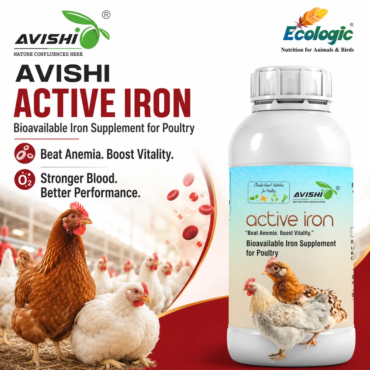 AVISHI ACTIVE IRON