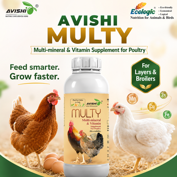 AVISHI MULTY