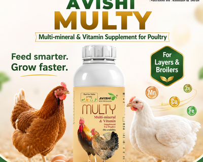 AVISHI MULTY