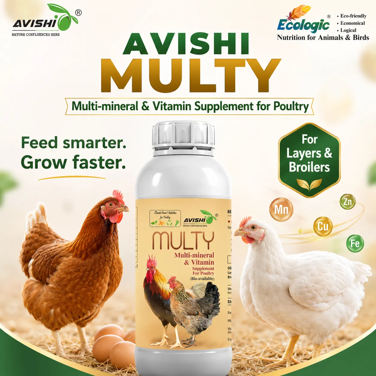 AVISHI MULTY