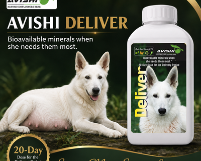 AVISHI DELIVER