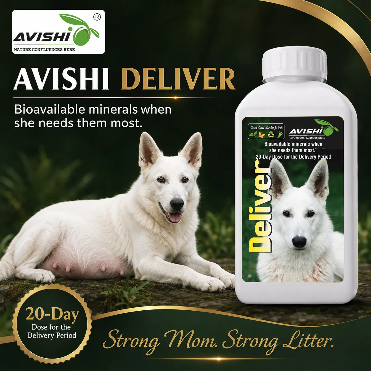 AVISHI DELIVER