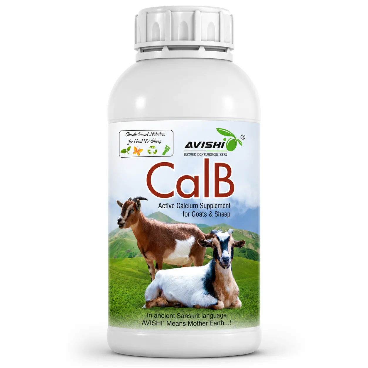 AVISHI CalB