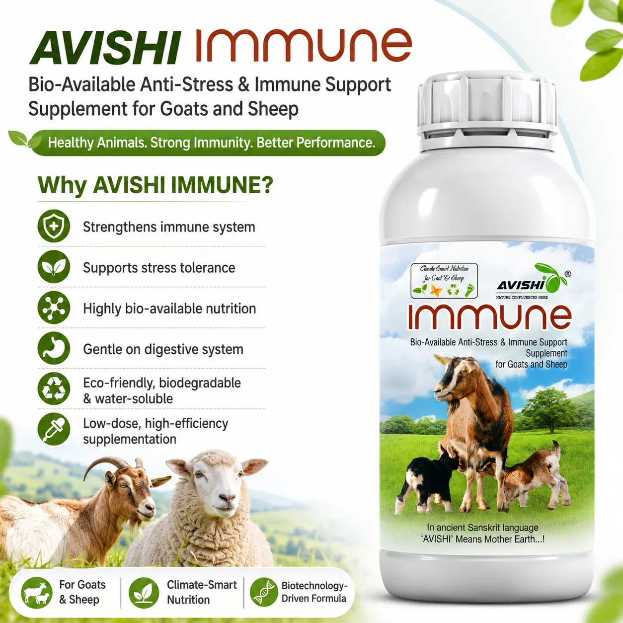 AVISHI IMMUNE