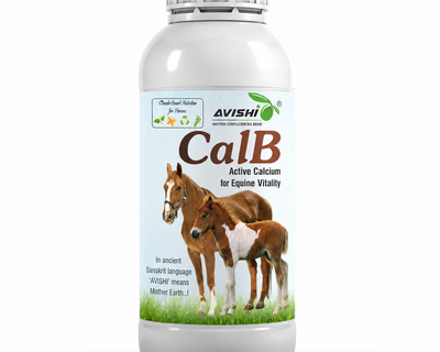 AVISHI CalB