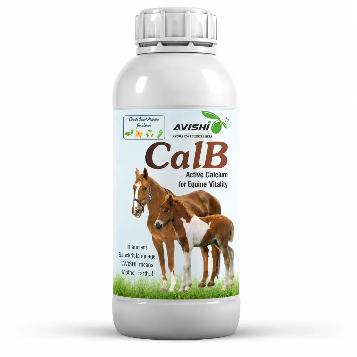 AVISHI CalB