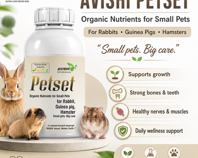 AVISHI PETSET