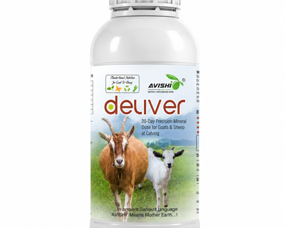 AVISHI DELIVER