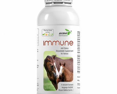 AVISHI IMMUNE
