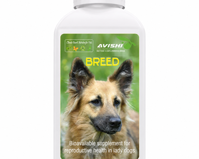 AVISHI BREED